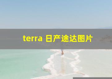 terra 日产途达图片